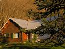 Another cabin!